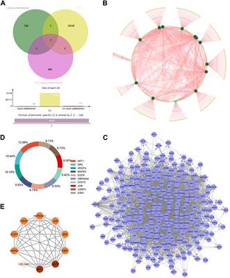 From seeds to survival rates: investigating Linum usitatissimum’s potential against ovarian cancer through network pharmacology